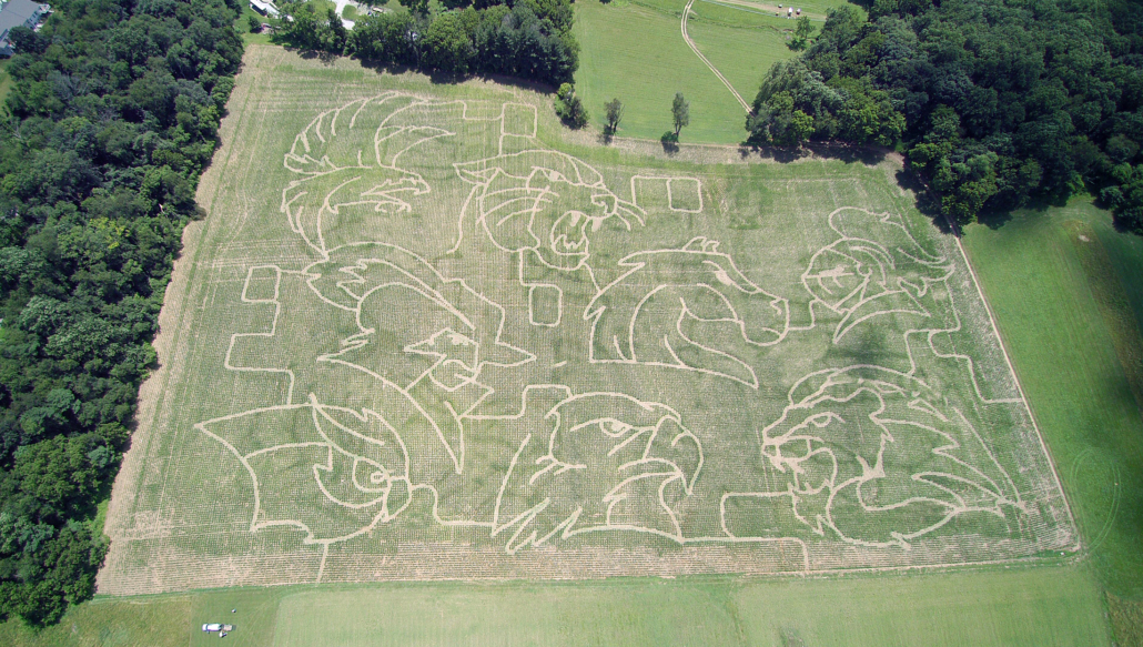 Home carroll county ag center